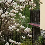 Kasztelanska * Porąbka