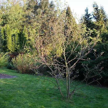 Apartamento Kasztelanska Porąbka