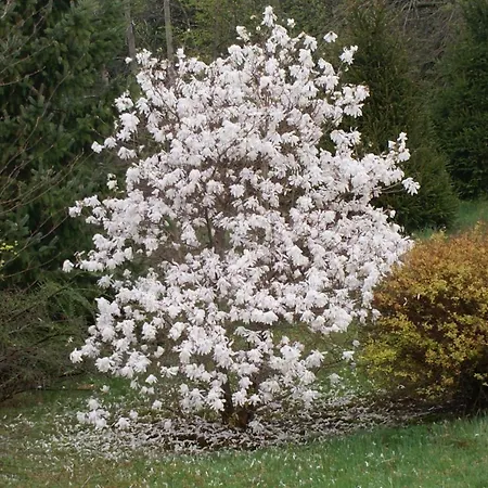 Apartamento Kasztelanska *