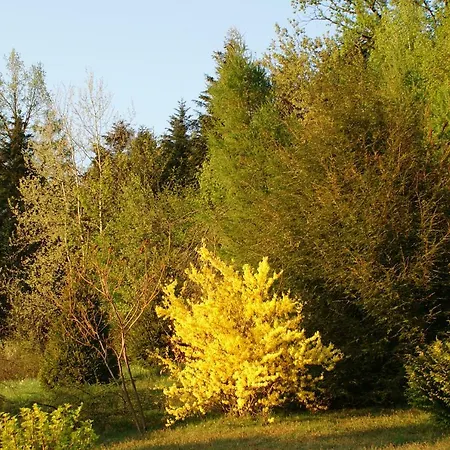 Kasztelanska Apartamento