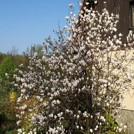 Kasztelanska
