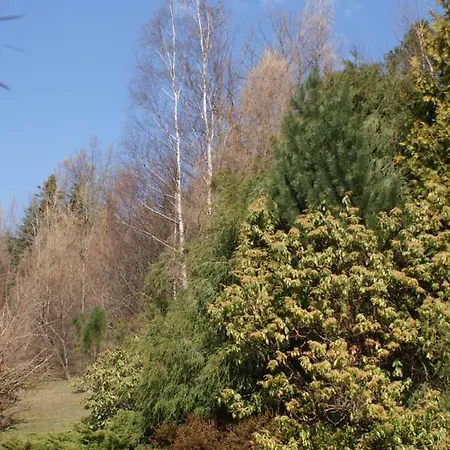 Kasztelanska Apartamento *