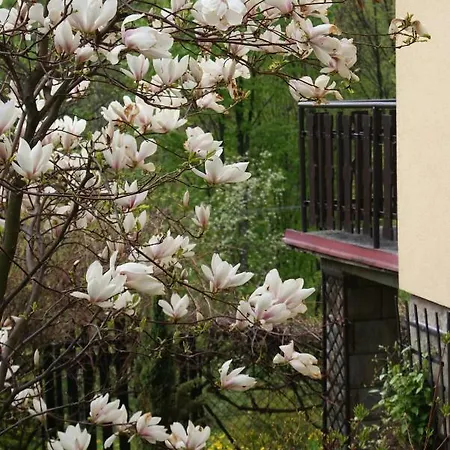 Kasztelanska * Porąbka