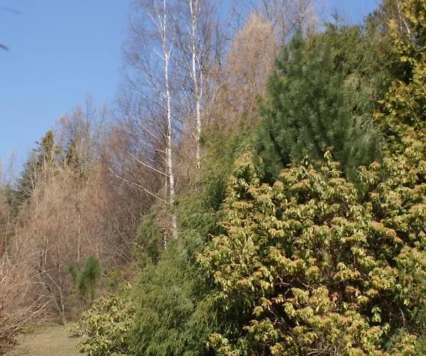 Kasztelanska شقة *