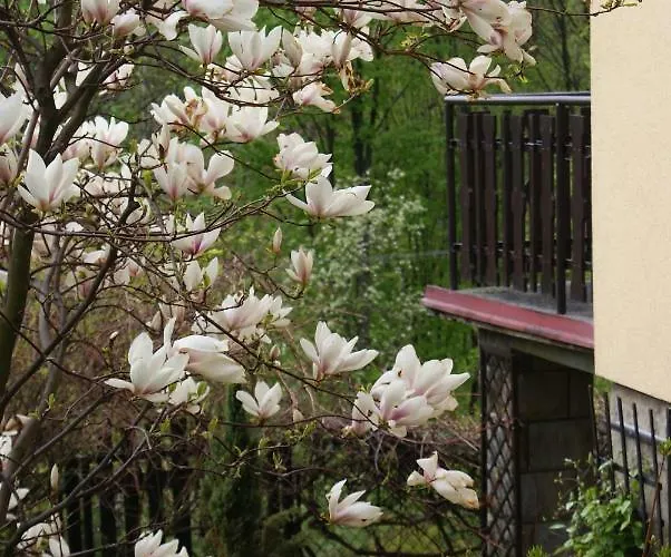 Kasztelanska * Porąbka